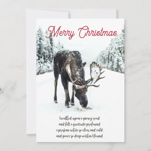 Christmas Moose Winter Snow Peace Poem Holiday Car