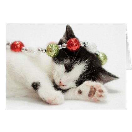 Christmas Morning Kitten Card