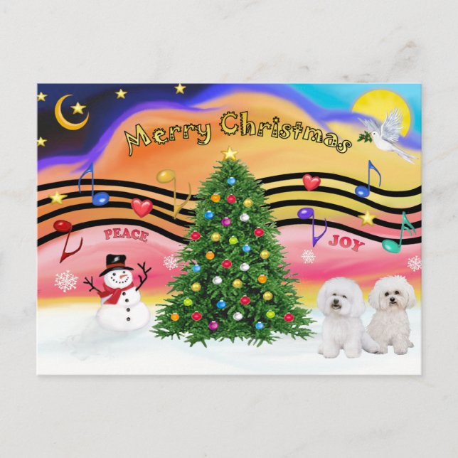 Christmas Music 2 - Bichon Frise (two) Holiday Postcard (Front)