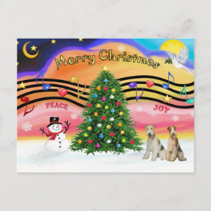Christmas Music 2 - Fox Terriers (two Wire Haired) Holiday Postcard