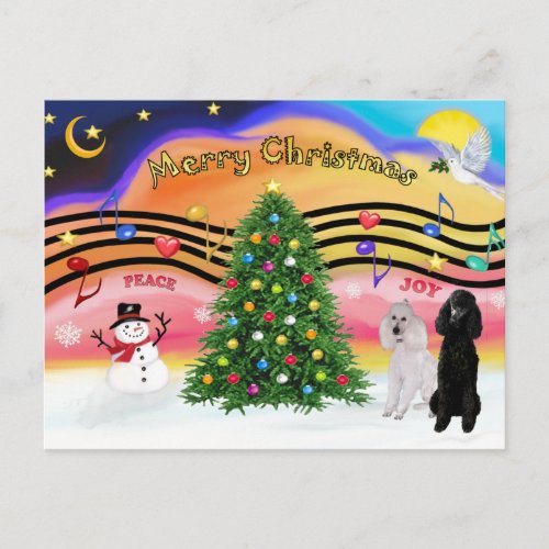 Christmas Music 2 _ Poodles 2 Standard Holiday Postcard