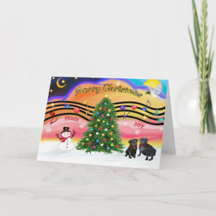 Christmas Music 2 - Pugs (two black) Holiday Card