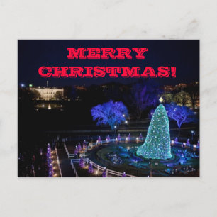 Christmas Nat'l Tree - Postcard