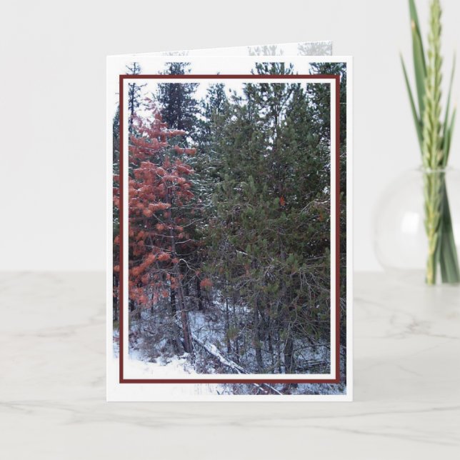 Christmas, New Year, Holiday - Blank Card (Front)