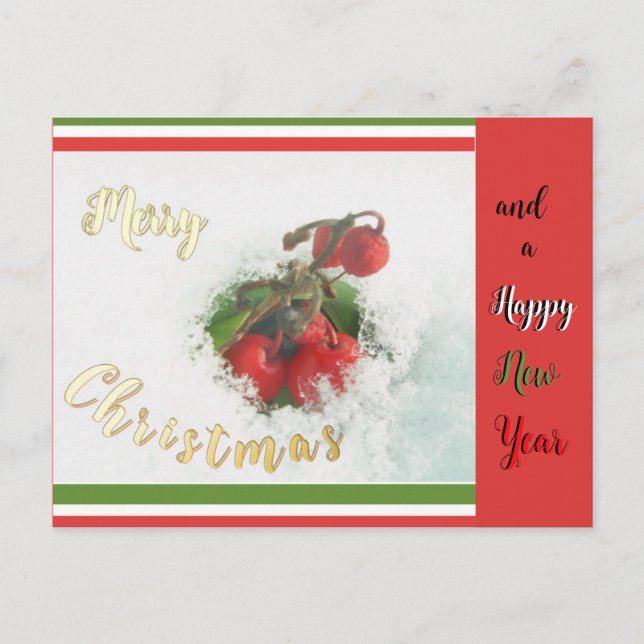 Christmas & New Year Red Berries Cust. Postcard (Front)