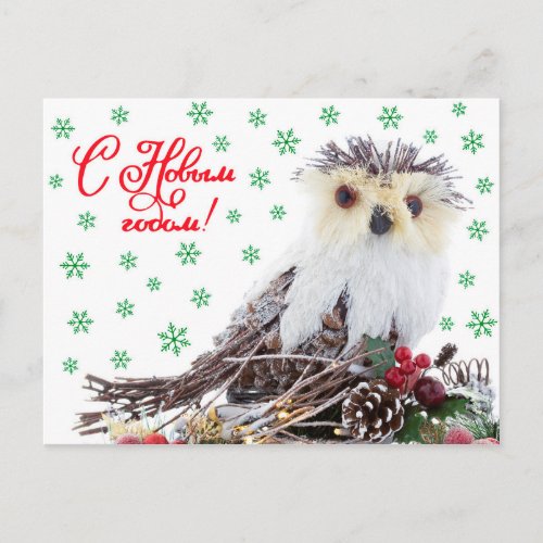 Christmas New Year Wise Owl Vintage Rustic Holiday Postcard