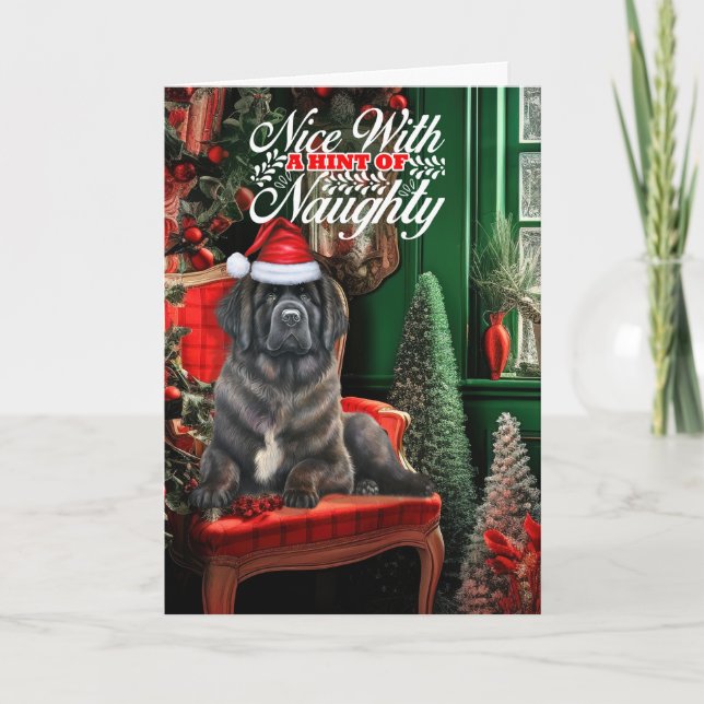 Christmas Newfoundland Dog Naughty or Nice Holiday Card (Front)