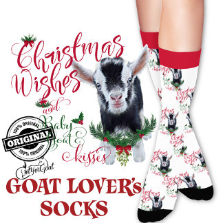 Christmas Nigerian Dwarf Baby Goat Wishes Socks