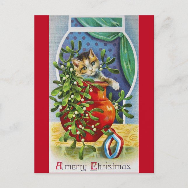 Christmas, Noel Kitten Postcard (Front)