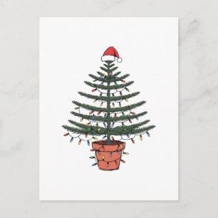 Christmas Norfolk Island Pine Potted Araucaria Holiday Postcard
