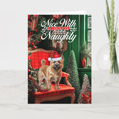 Christmas Norwich Terrier Dog Naughty or Nice Holiday Card