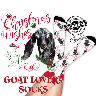 Christmas Nubian Baby Goat Wishes Socks