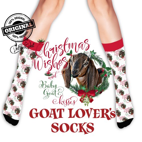 Christmas Nubian Doeling Baby Goat Wishes Socks