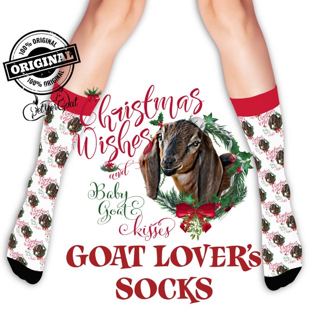 Christmas Nubian Doeling Baby Goat Wishes Socks (Creator Uploaded)