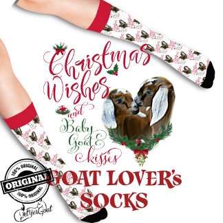 Christmas Nubian Twins Baby Goat Wishes Socks