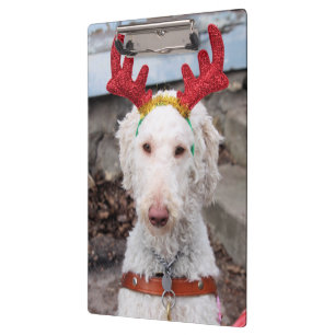Christmas Ollie Clipboard