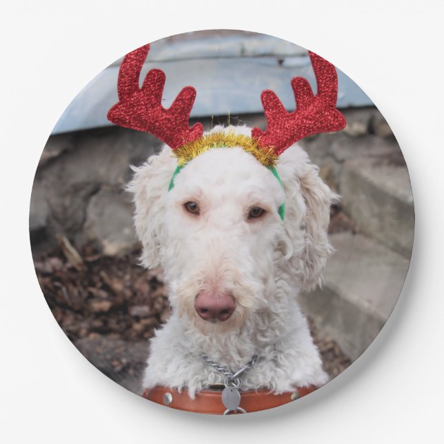 Christmas Ollie Paper Plates (Front)