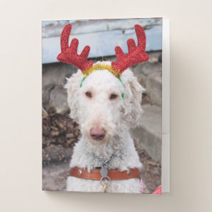 Christmas Ollie  Pocket Folder