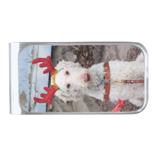 Christmas Ollie Silver Finish Money Clip
