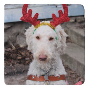 Christmas Ollie Trivet