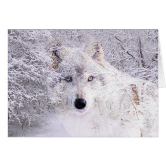 Wolf Cards | Zazzle