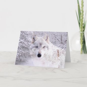 Christmas Or Winter Wolf Holiday Card by deemac1 at Zazzle