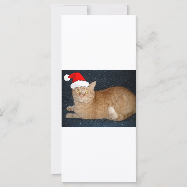 Christmas Orange Tabby Cat (Front)