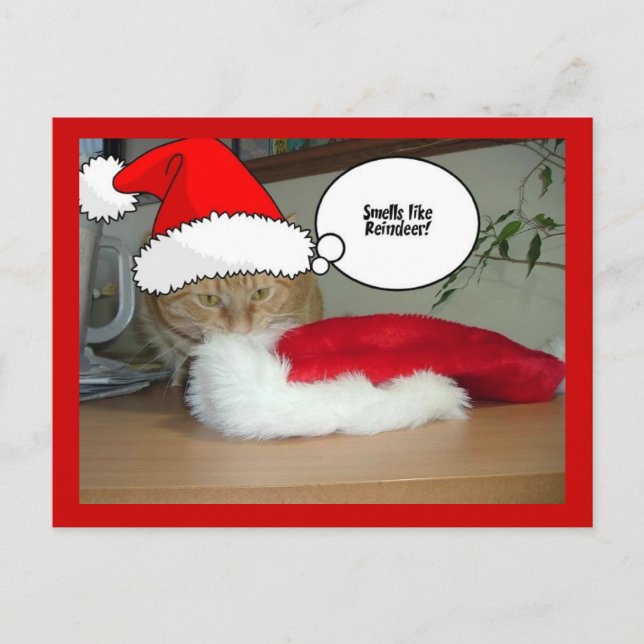 Christmas Orange Tabby Cat Holiday Postcard (Front)