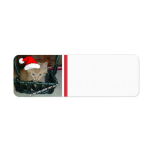 Christmas Orange Tabby Kitten Label