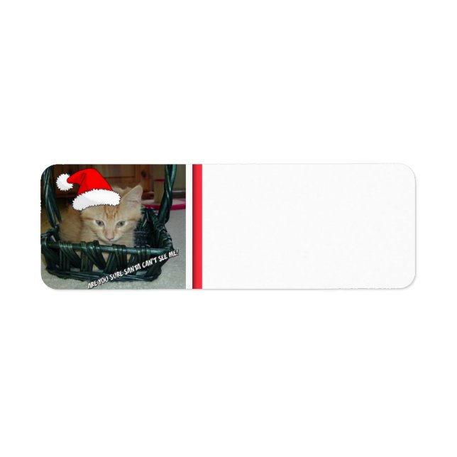 Christmas Orange Tabby Kitten Label (Front)