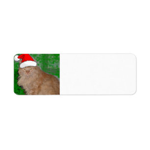 Christmas Orange Tabby Kitten Label