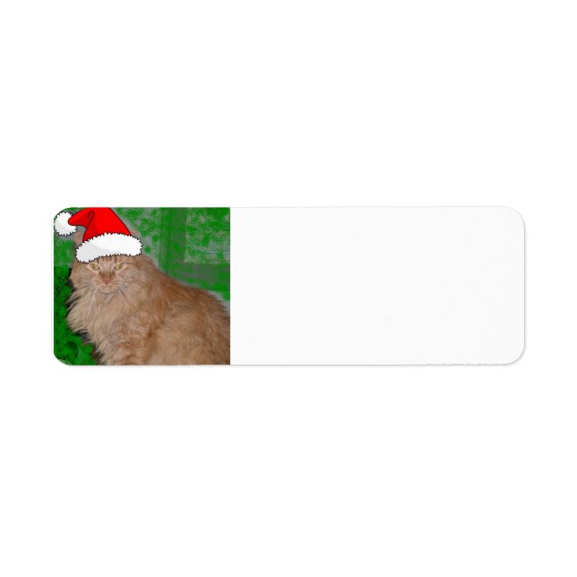 Christmas Orange Tabby Kitten Label (Front)