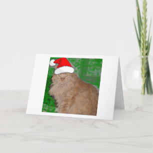 Christmas Orange Tabby Kitty Cat Holiday Card
