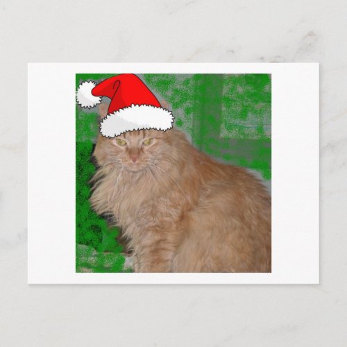 Christmas Orange Tabby Kitty Cat Holiday Postcard