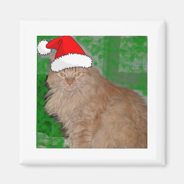 Christmas Orange Tabby Kitty Cat Magnet (Front)