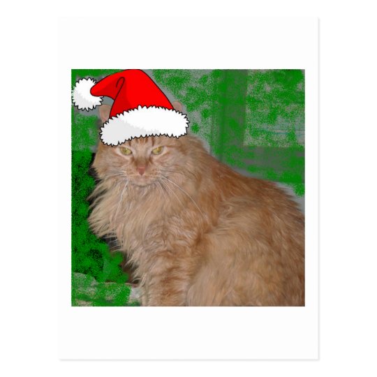 Christmas Orange Tabby Kitty Cat Postcard