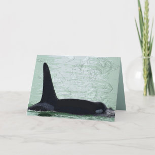 Christmas Orca San Juan Island Merry Christmas Holiday Card