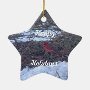 Christmas Ornament by specialexpress at Zazzle