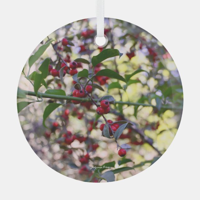 Christmas Ornament (Front)