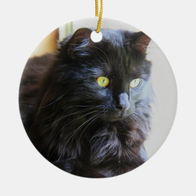 Christmas Ornament, Black Cat Ceramic Ornament Zazzle