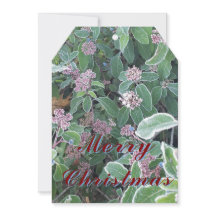 Christmas Ornament  Card