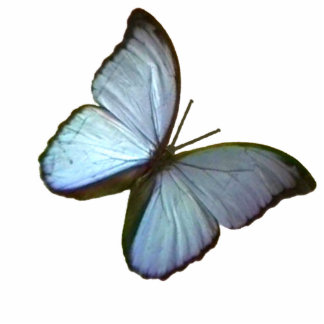 Christmas Ornament Freiburg Germany Blue Butterfly