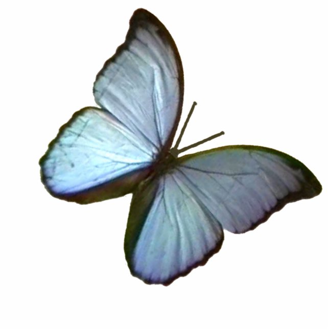 Christmas Ornament Freiburg Germany Blue Butterfly (Front)