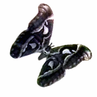 Christmas Ornament Freiburg Germany Moth 45 Degree