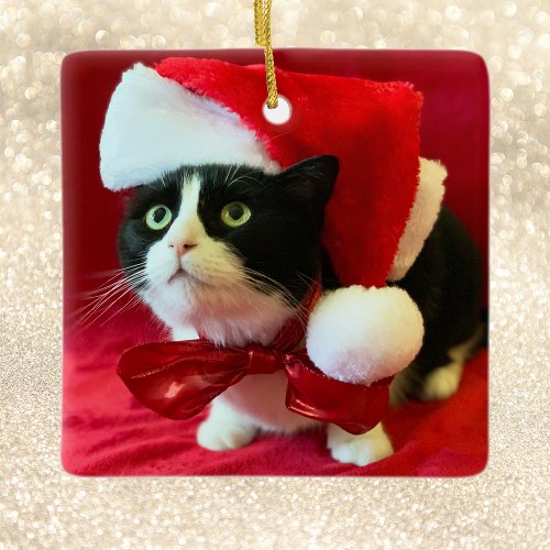 Christmas Ornament Peaches the Tuxedo Cat