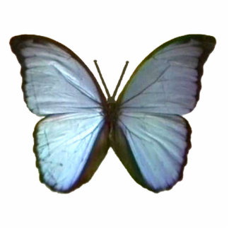 Christmas Ornaments Freiburg Germany Blue Buterfly Cutout