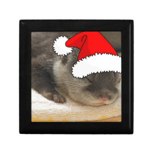 Christmas Otter Gift Box