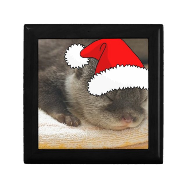 Christmas Otter Gift Box (Front)