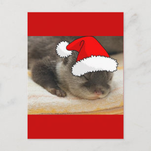 Christmas Otter Holiday Postcard