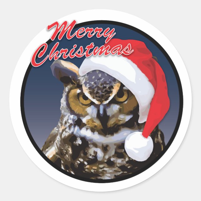 Christmas Owl - Classic Round Sticker, Glossy Sticker (Front)